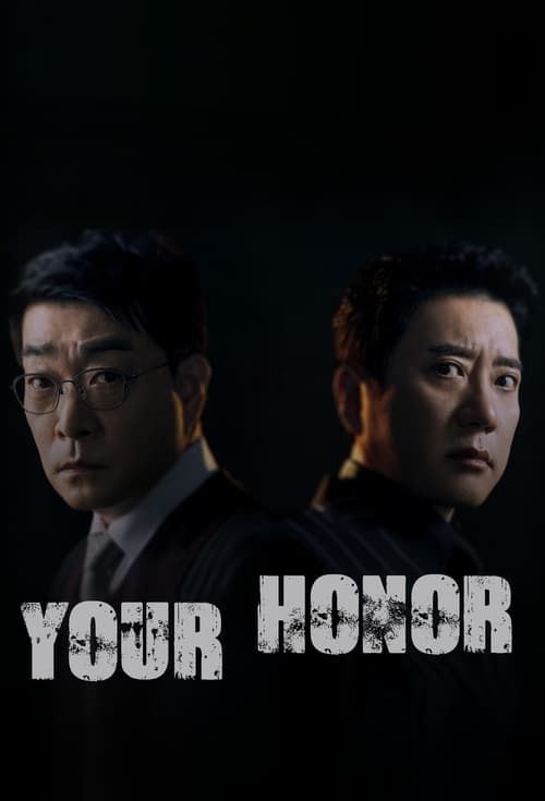 Póster de Your Honor