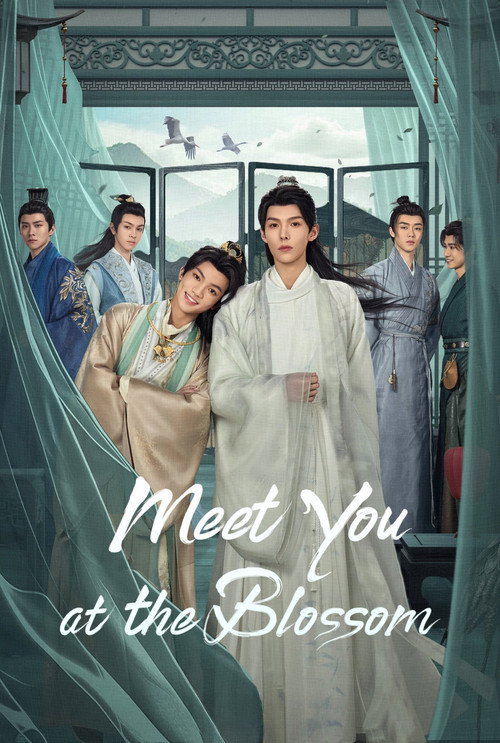 Póster de Meet You at the Blossom