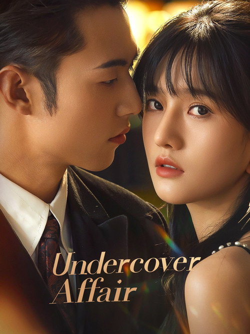 Póster de Undercover Affair