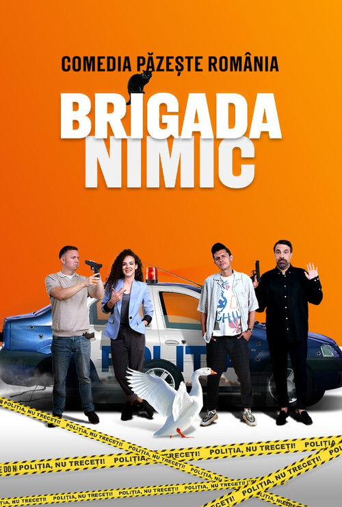 Póster de Nothing Brigade