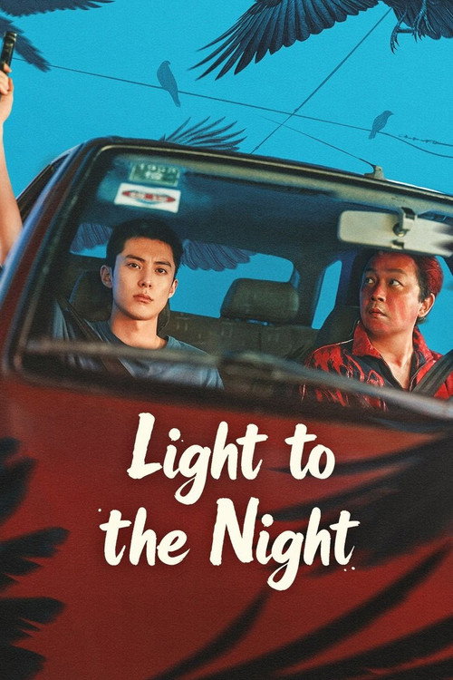 Póster de Light to the Night