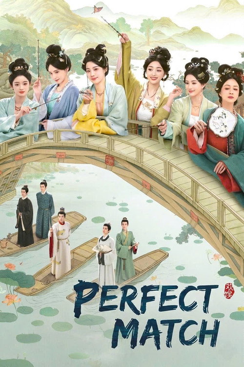 Póster de Perfect Match