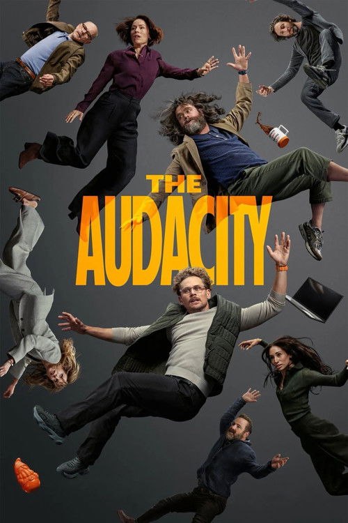 Poster von The Audacity