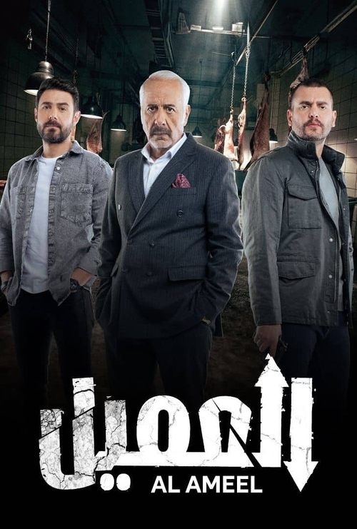 Póster de The Agent