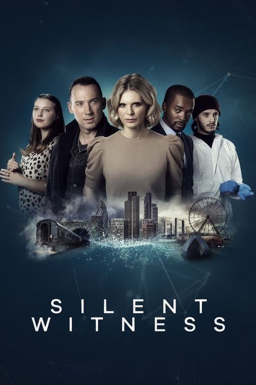 Póster de Silent Witness