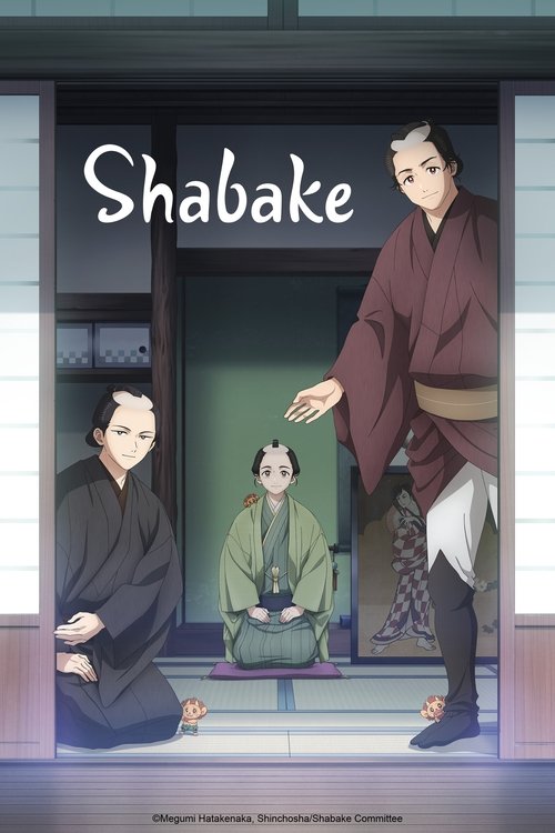 Póster de Shabake