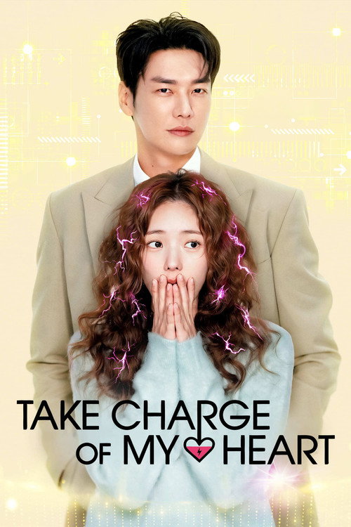 Póster de Take Charge of My Heart