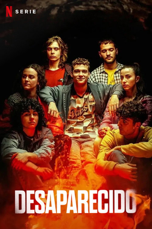 Póster de Disappeared