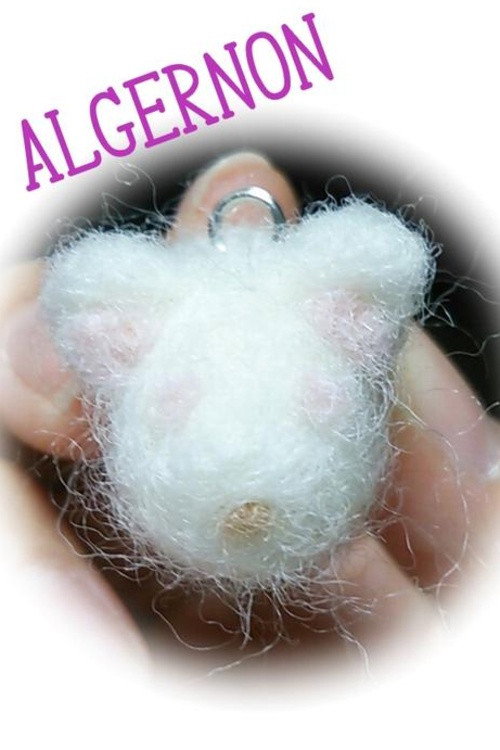Póster de Flowers for Algernon