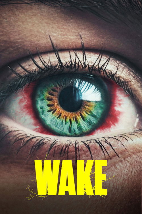 Póster de Wake