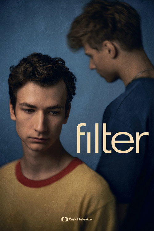 Póster de Filter
