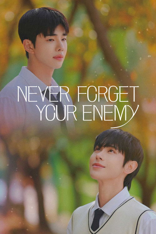 Póster de Never Forget Your Enemy