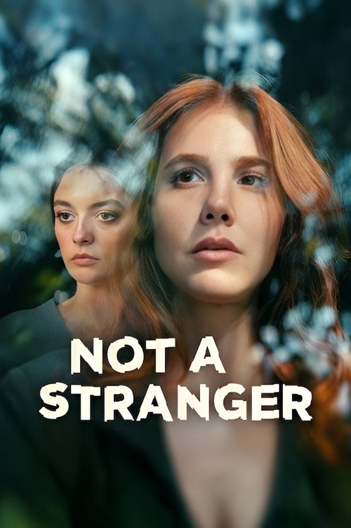 Póster de Not a Stranger