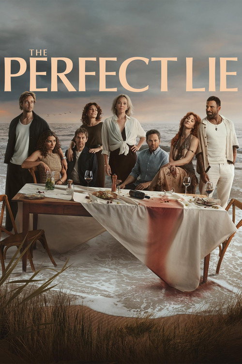 Póster de The Perfect Lie