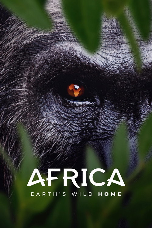 Póster de Africa Earth's Wild Home
