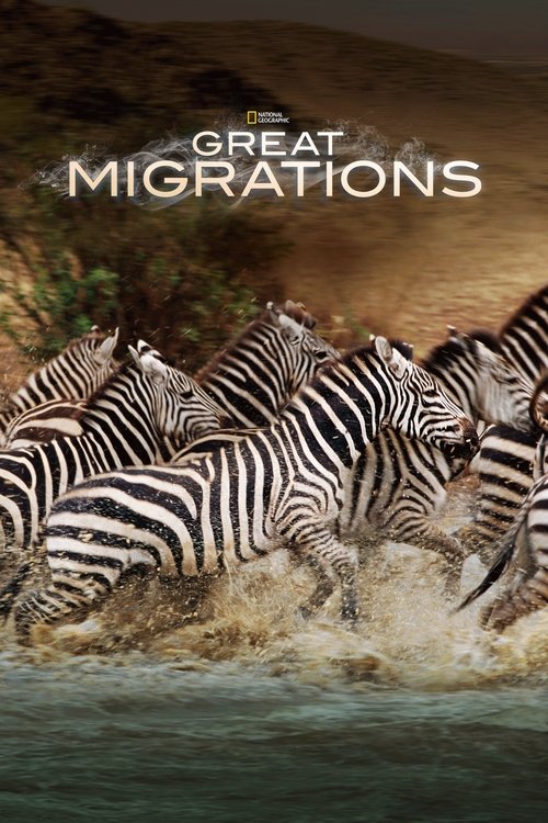 Póster de Great Migrations