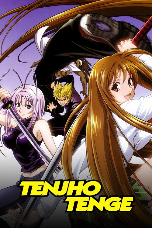 Póster de Tenjho Tenge
