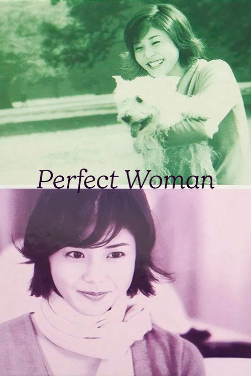 Póster de Perfect Woman