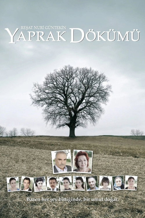 Póster de Falling Leaves