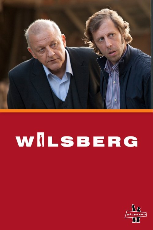 Póster de Wilsberg