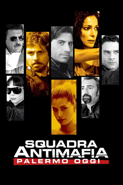 Póster de Anti-Mafia Squad