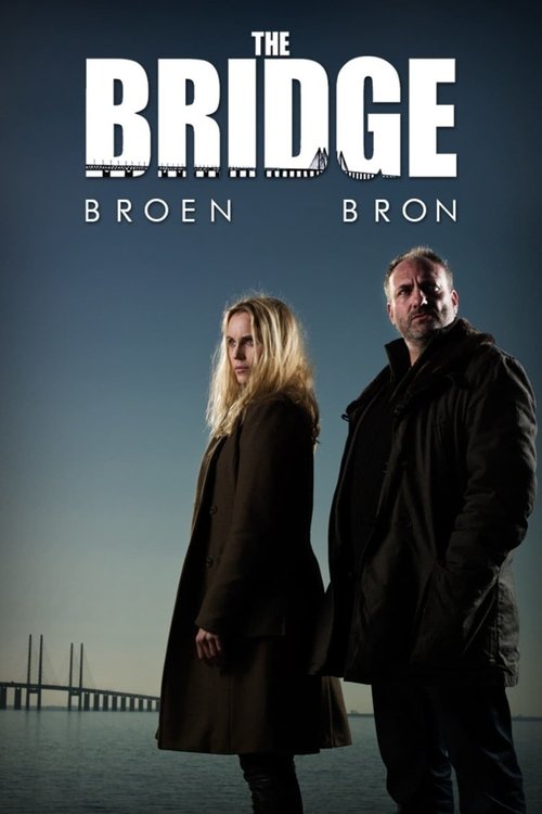 Póster de The Bridge