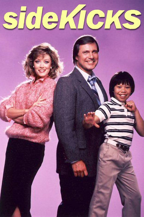 Póster de Sidekicks
