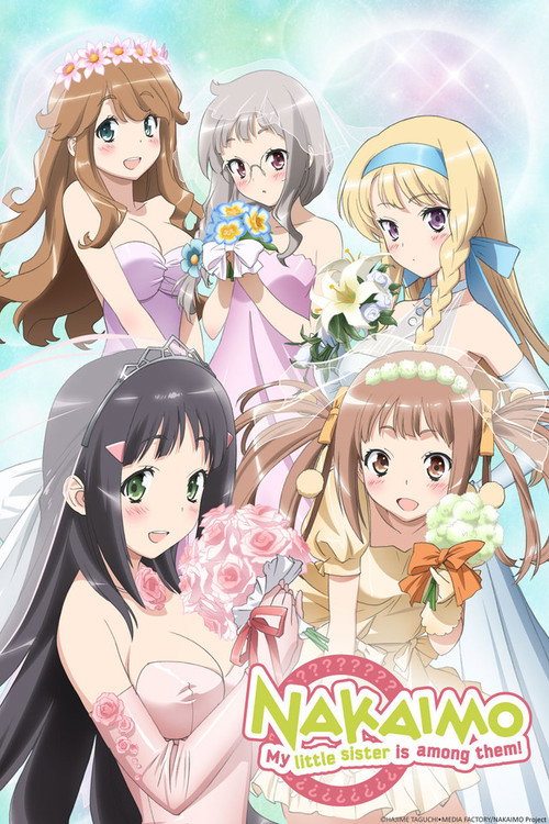 Póster de Nakaimo: My Little Sister Is Among Them!