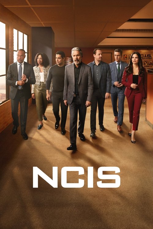 Pôster de NCIS: Investigação Naval