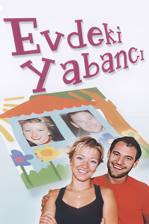 Póster de Stranger at Home