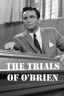 Póster de The Trials of O'Brien