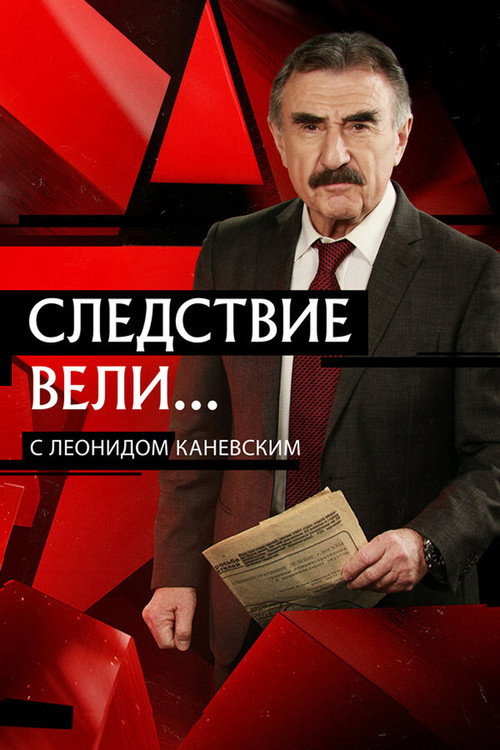 Póster de The Investigation Led by...