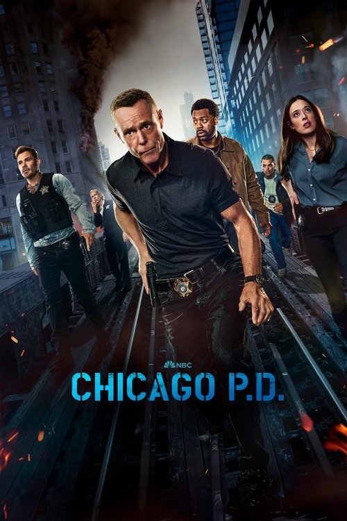 Pôster de Chicago P.D.: Distrito 21