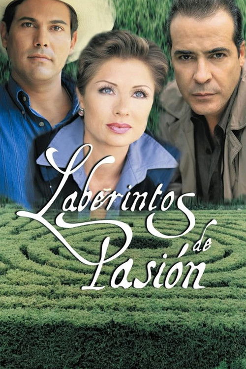 Póster de Laberintos de pasión