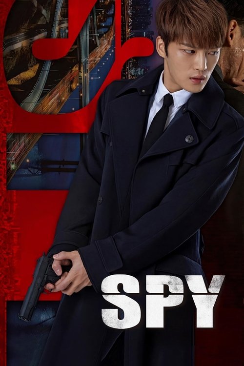 Póster de Spy