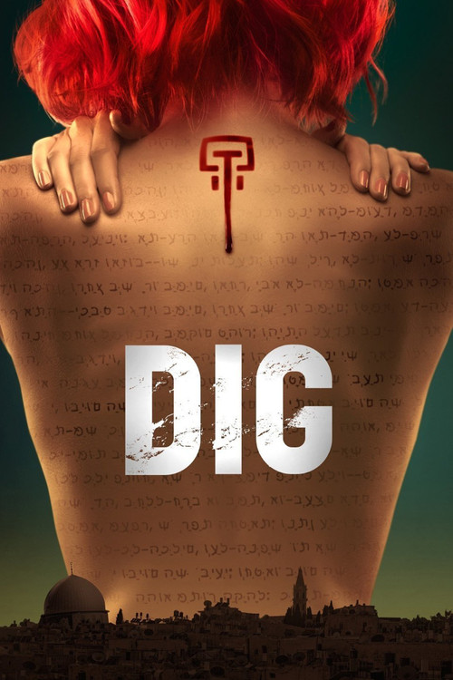 Pôster de Dig