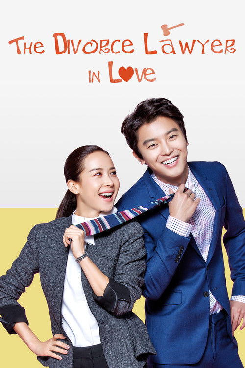 Póster de Divorce Lawyer in Love