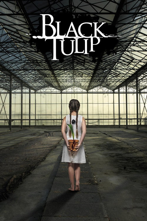 Póster de Black Tulip