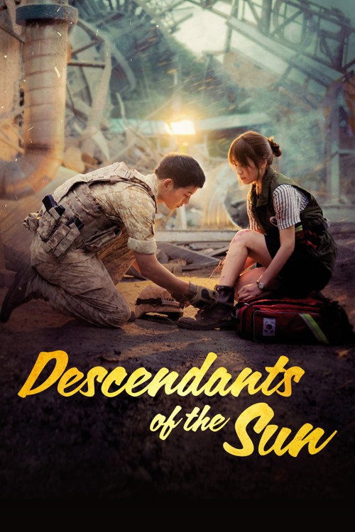 Póster de Descendants of the Sun