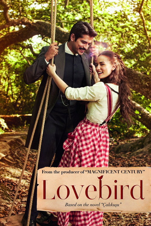 Póster de Lovebird