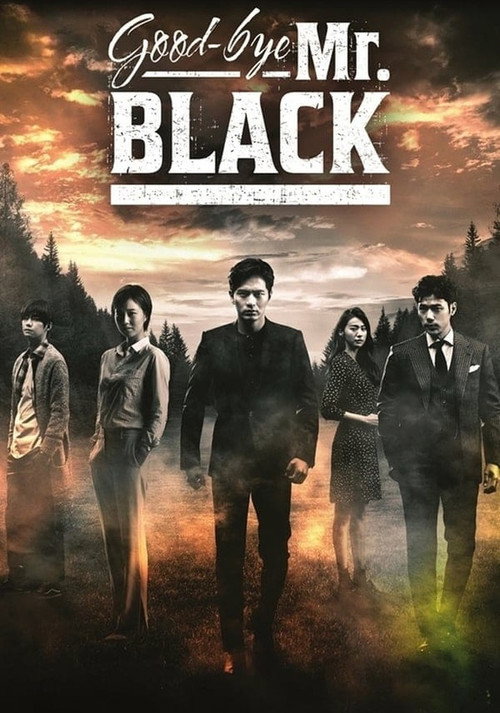 Póster de Goodbye Mr. Black