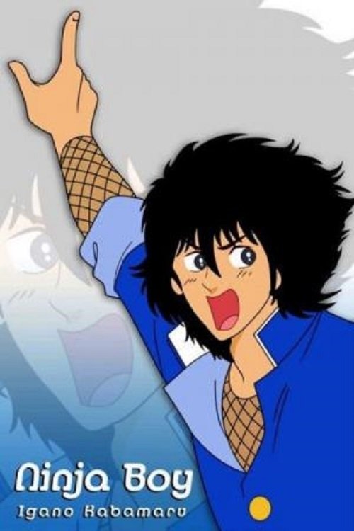 Póster de Ninja Boy