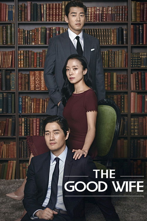 Póster de The Good Wife