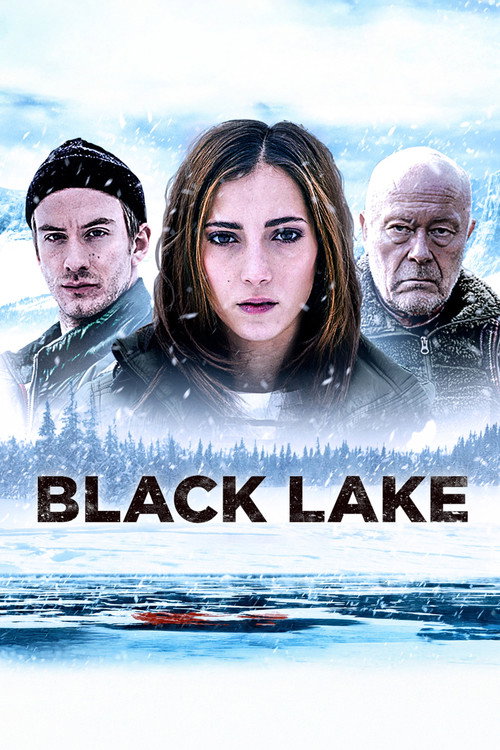 Póster de Black Lake