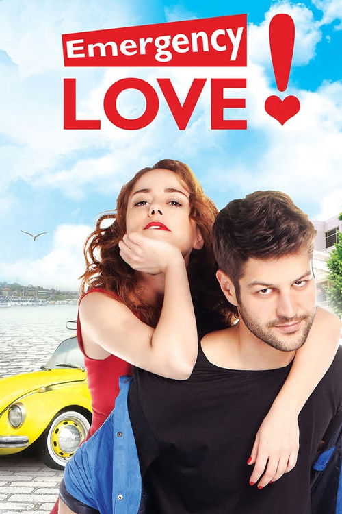 Póster de Emergency Love