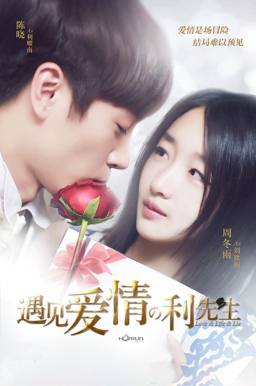 Póster de Love & Life & Lie