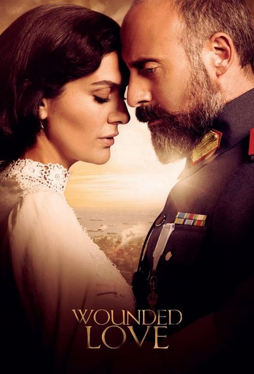 Póster de Wounded Love