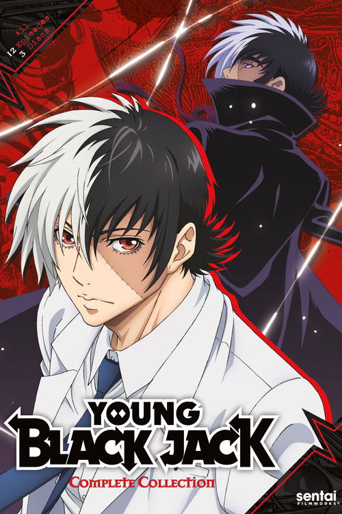 Póster de Young Black Jack