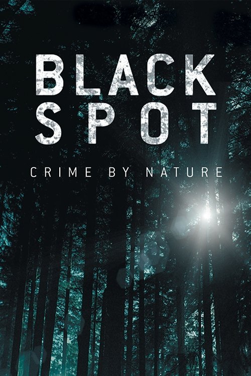Póster de Black Spot