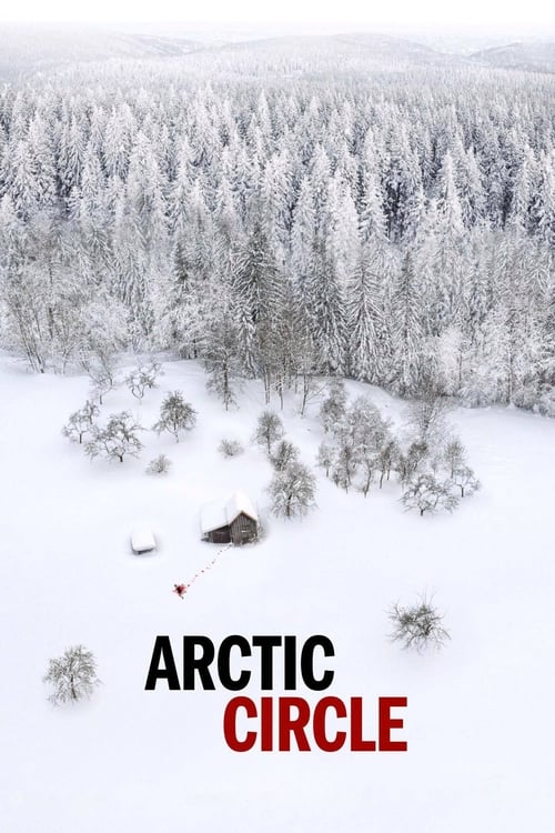 Póster de Arctic Circle